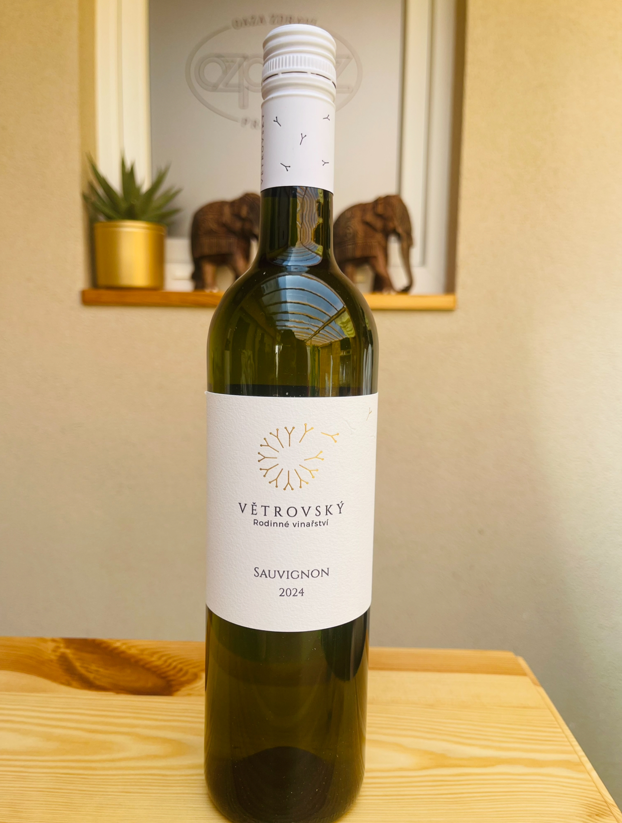 Sauvignon 2024